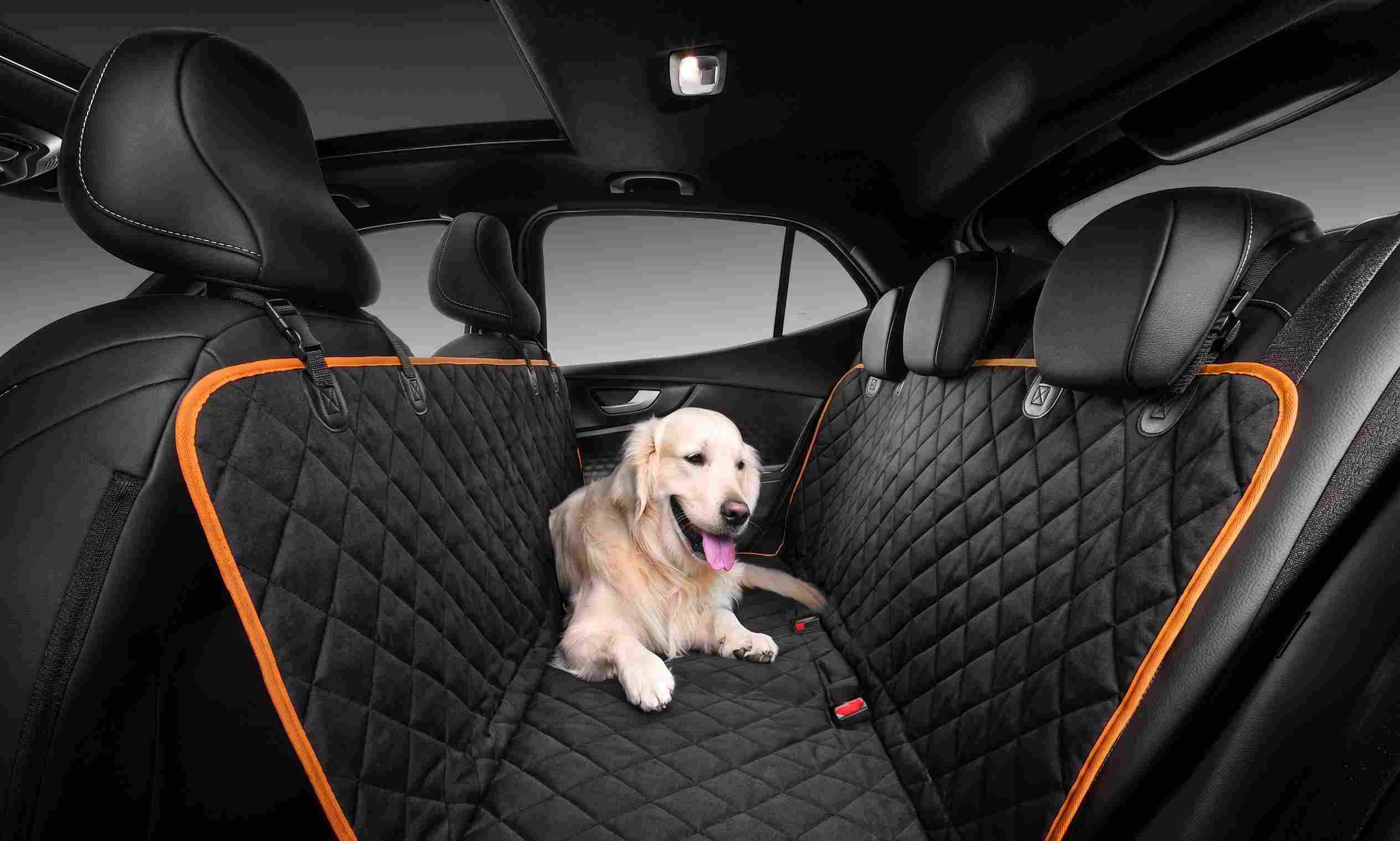 fundas protectoras para mascotas